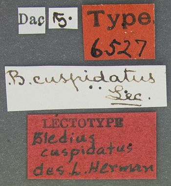 Media type: image; Entomology 6527   Aspect: labels